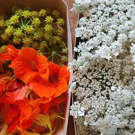 ベッド・アンド・ブレックファスト メゾン オルシーニ ヴィルヌーヴ・レ・ザヴィニョン