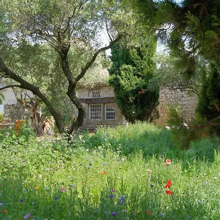 Alojamento de Acomodação e Pequeno-almoço Maison Orsini Villeneuve-lès-Avignon