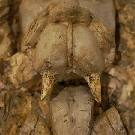 メゾン オルシーニ ベッド・アンド・ブレックファスト 3*