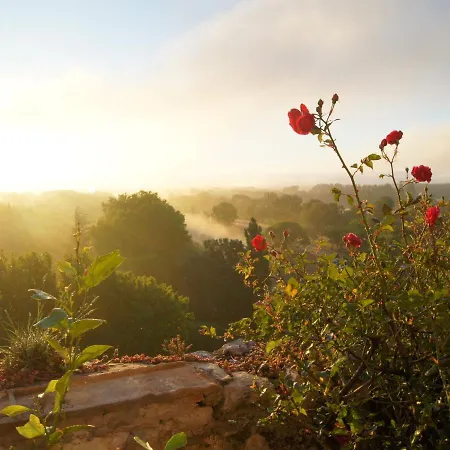 Maison Orsini Nocleg ze śniadaniem